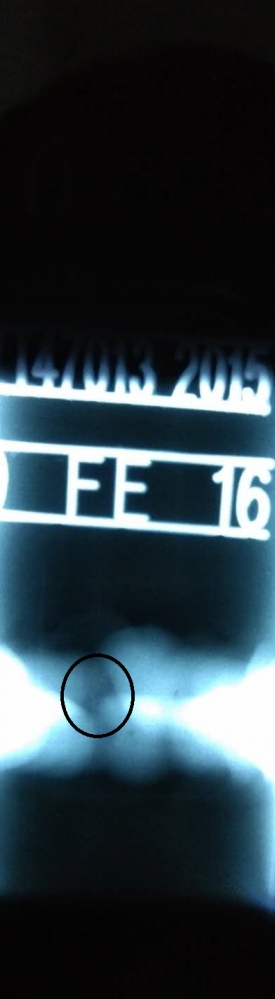 請大神看看圓圈內是什么