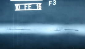 這是比較典型的缺陷吧