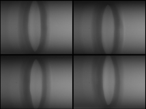 面板數字成像圖像